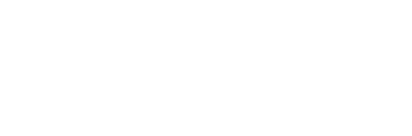 Network-Architectural-Logo-White